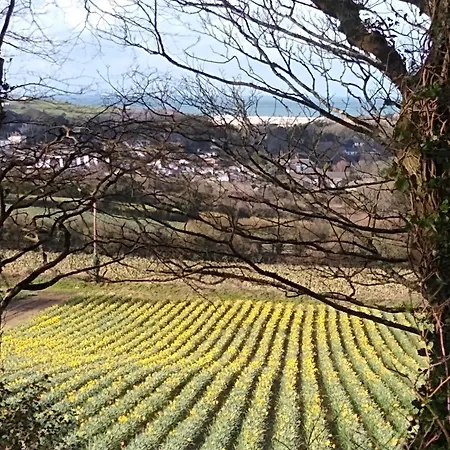 Three Bed Hayle